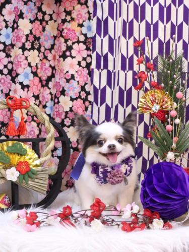 20250109リアンくん